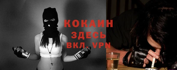 винт Абаза