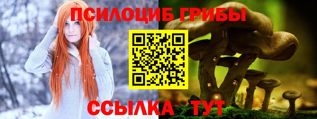 Уварово  Псилоцибиновые грибы Psilocybine cubensis  Вход с VPN  Галлюциногенные грибы Magic Shrooms 